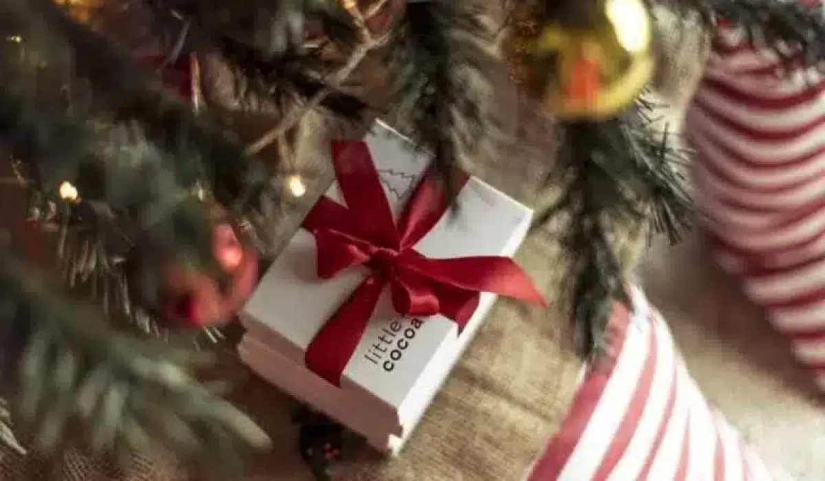 Christmas Chocolates - 5 Fabulous Food Gifts